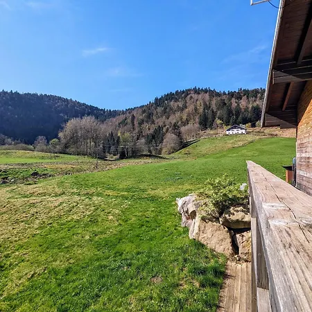 Renove Calme Avec Terrasse Et Cheminee A - Fr-1-589-783 *